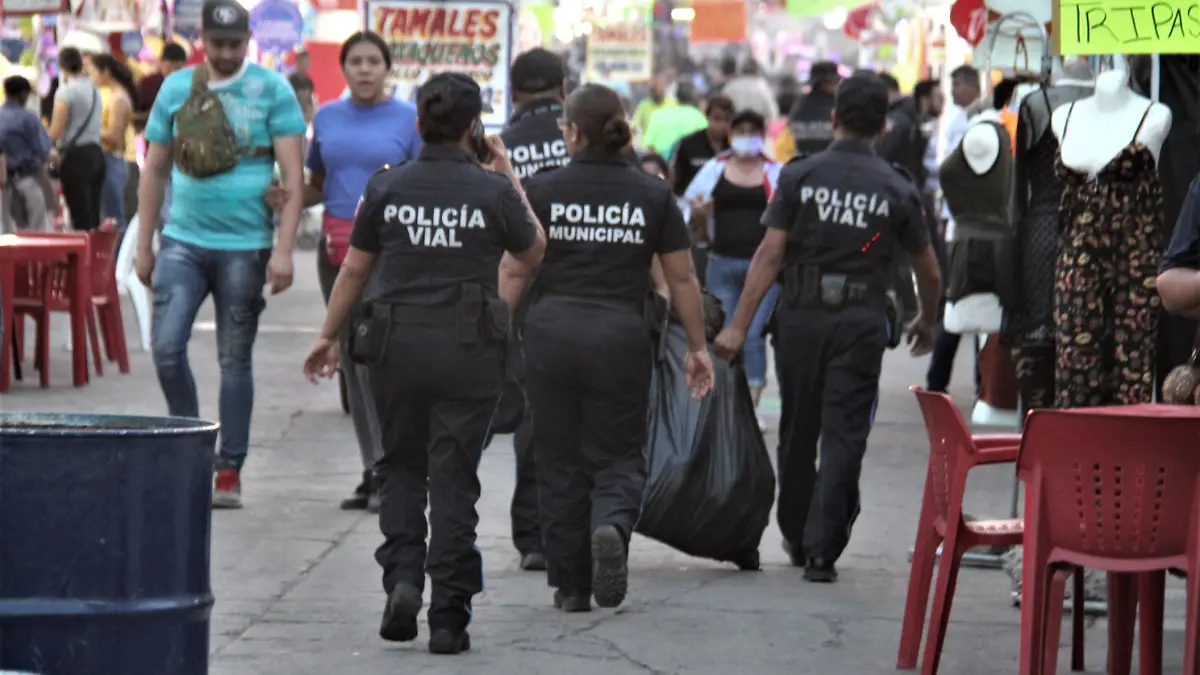 SEGURIDAD FERIA (5)